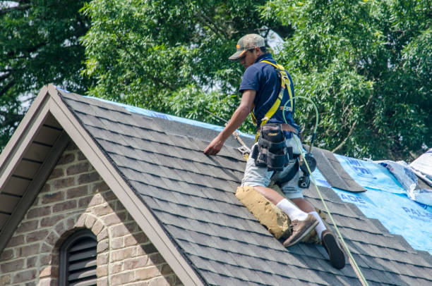 Best Shingle Roofing Installation  in Bonadelle Ranchos, CA